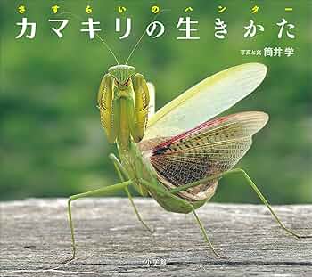 洋書　MANTODEA カマキリ 洋書 MANTODEA カマキリ 洋書 MANTODEA カマキリ 洋書 MANTODEA